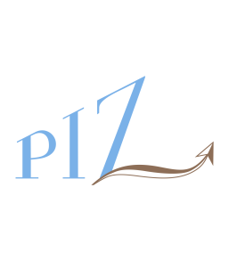 Gesamt auftritt Startup PIZ