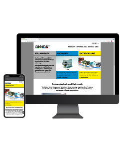 Web Auftritt Inserate mems