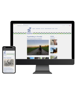Web Auftritt Zicken treff